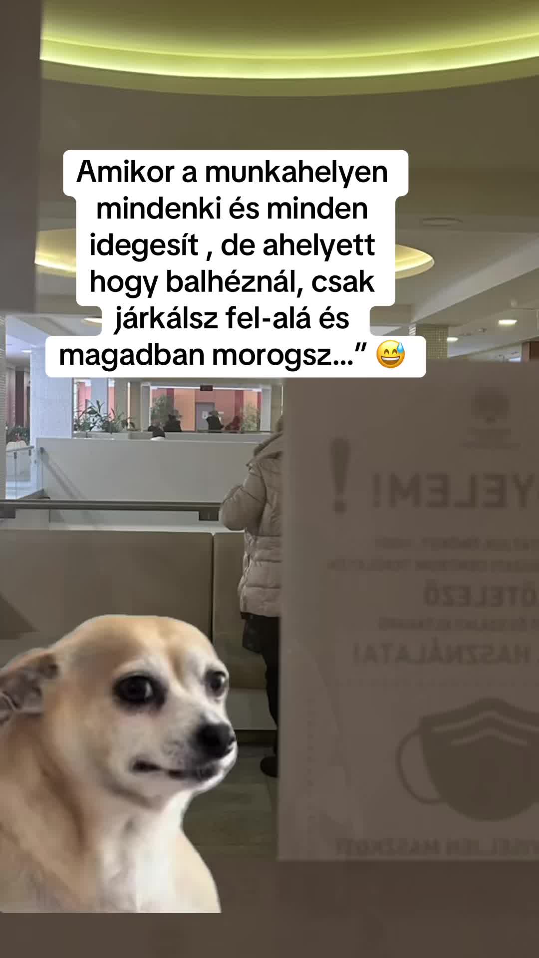 @Nem harap 🅰️ néni 🪷