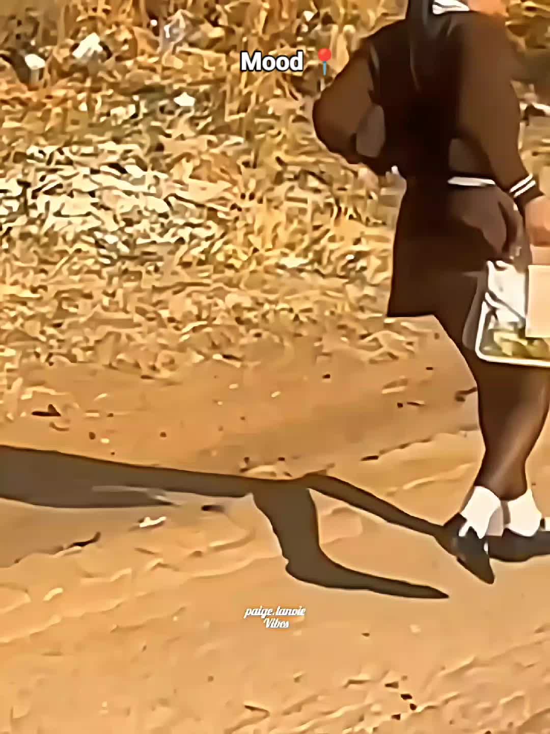 @paigelanoievibes