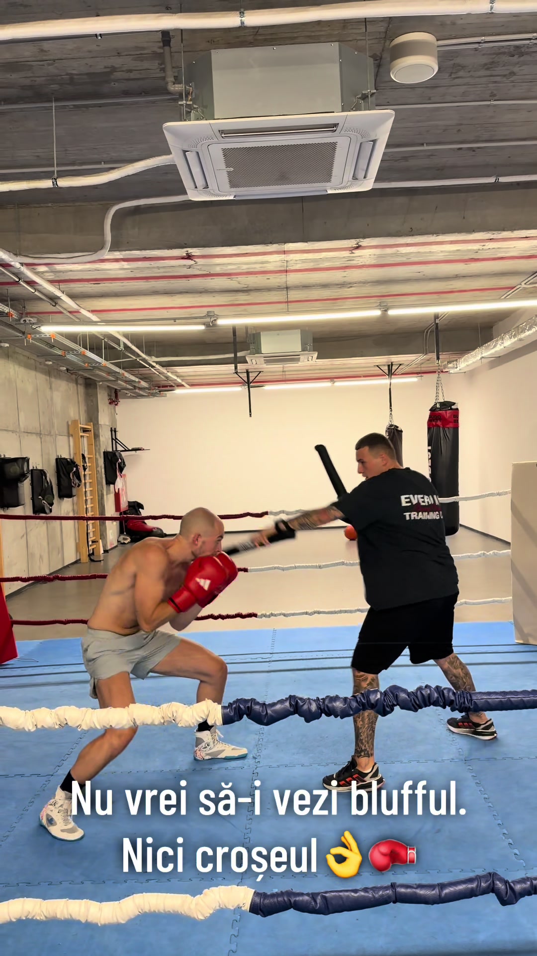 @C.S RAPID BUCUREȘTI - BOX 🥊