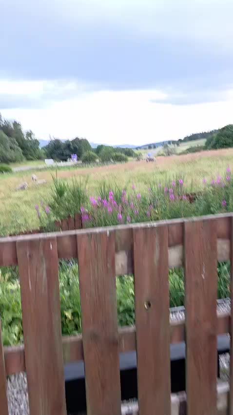 @DrumlithieTruckSpotter🚛