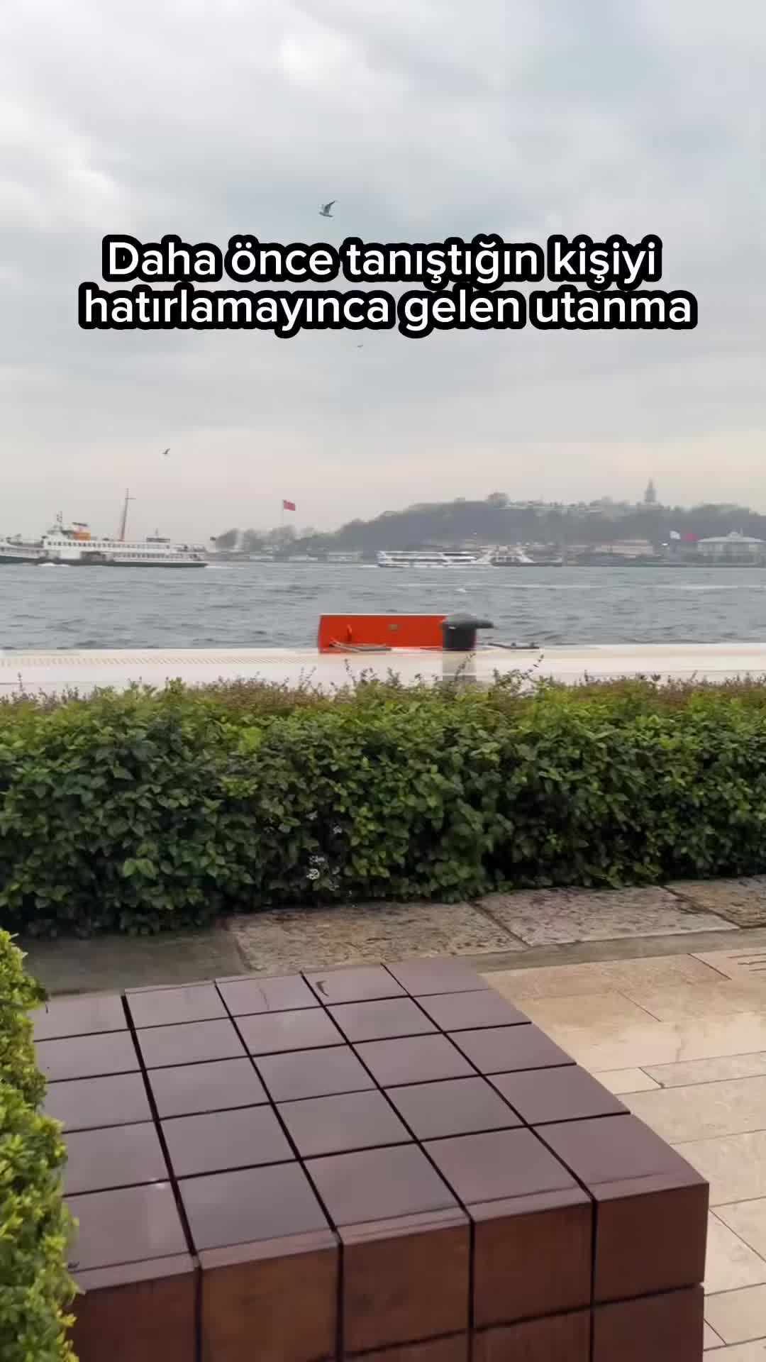 @rehmli_tchat