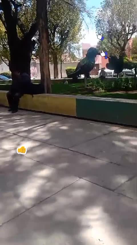 @jhuli