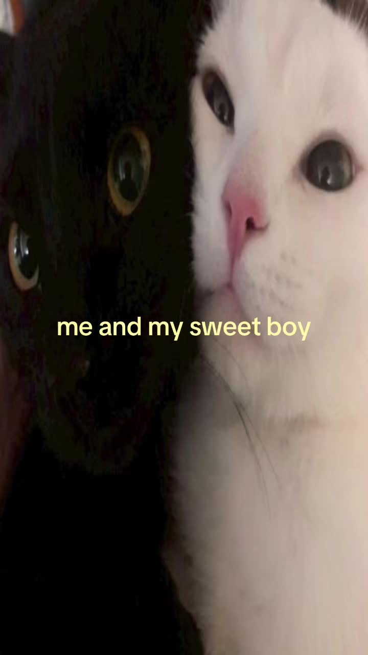 @no