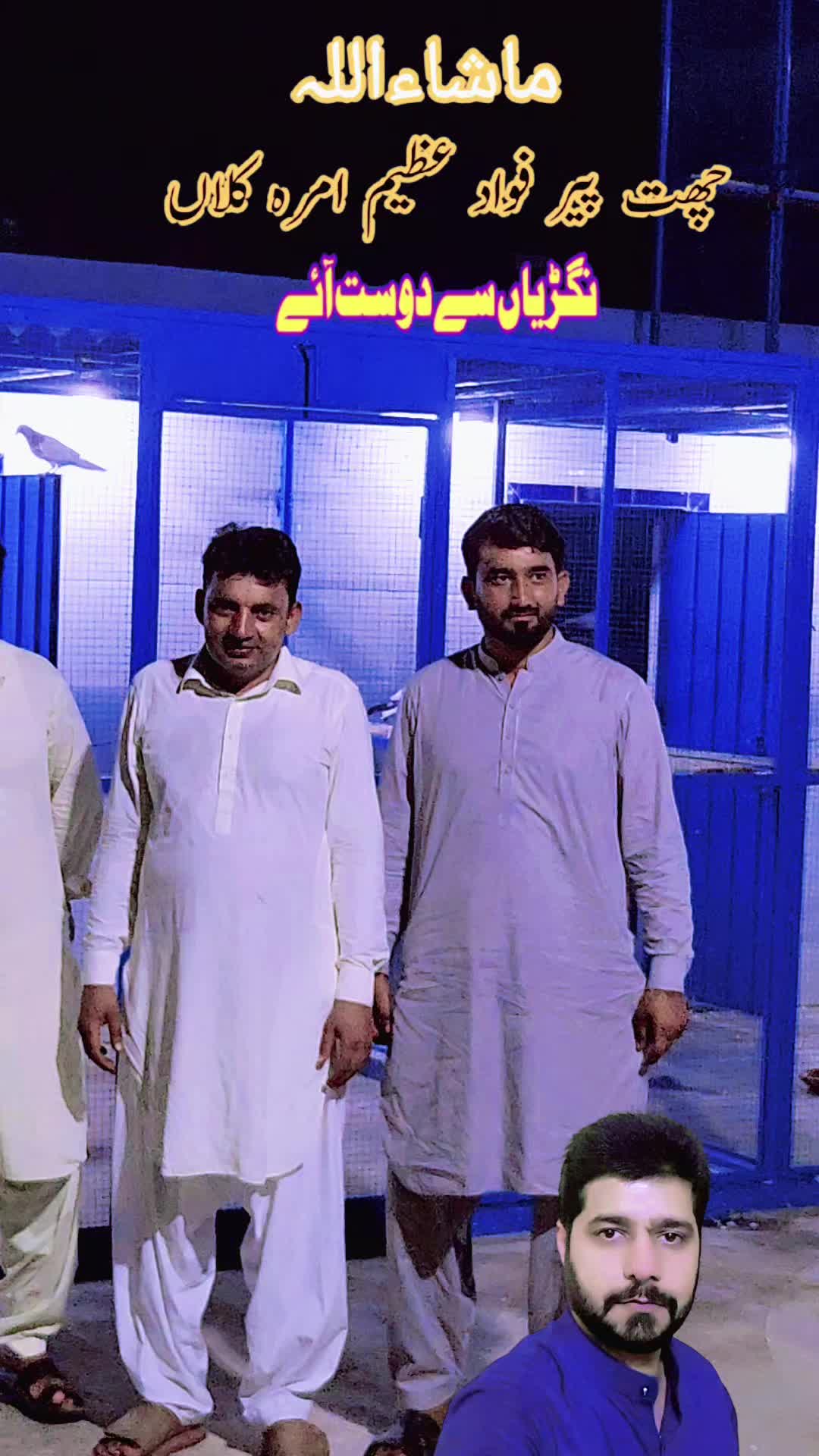 @amrakalan5