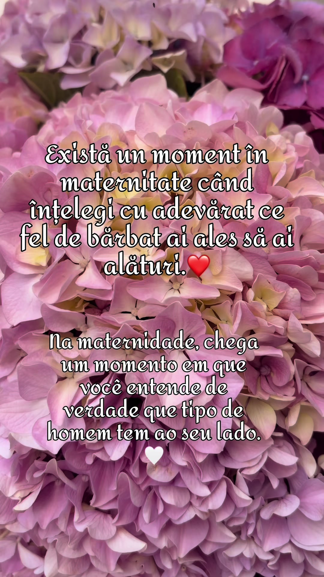 @Moldoveancă_in 🇵🇹