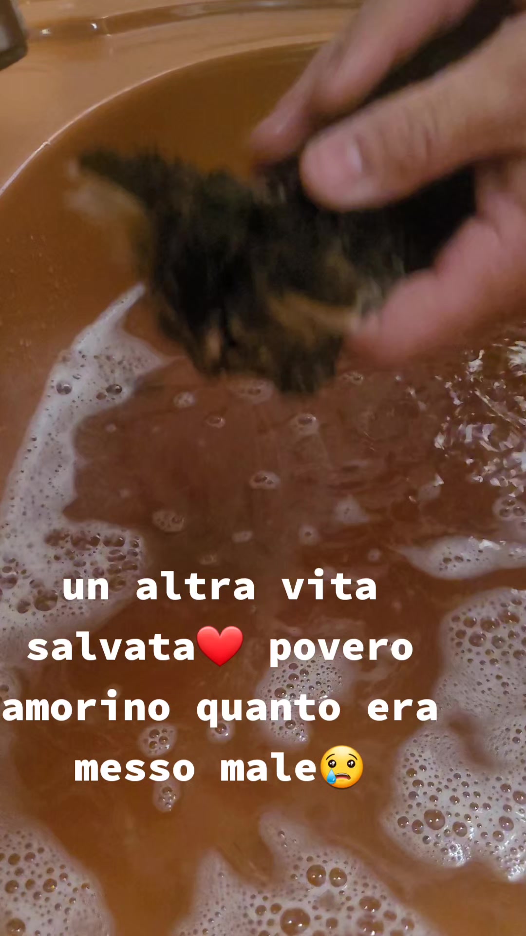 @anitsirc ovon