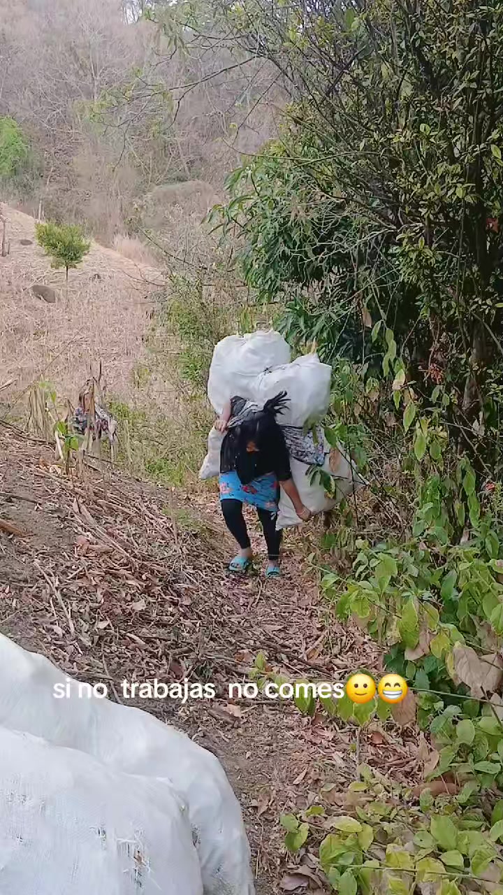 @Isabel ch&aacute;vez