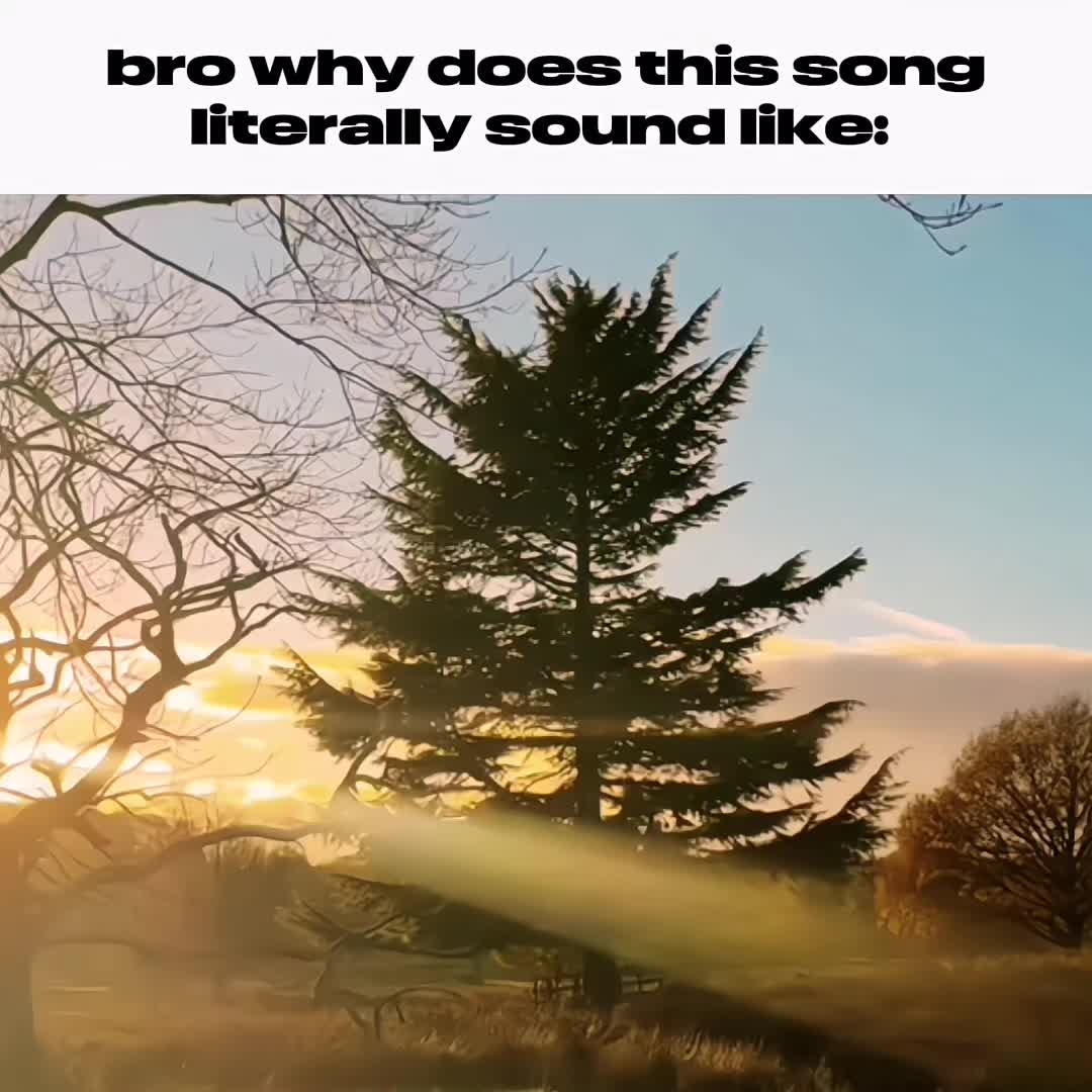@fadinglight