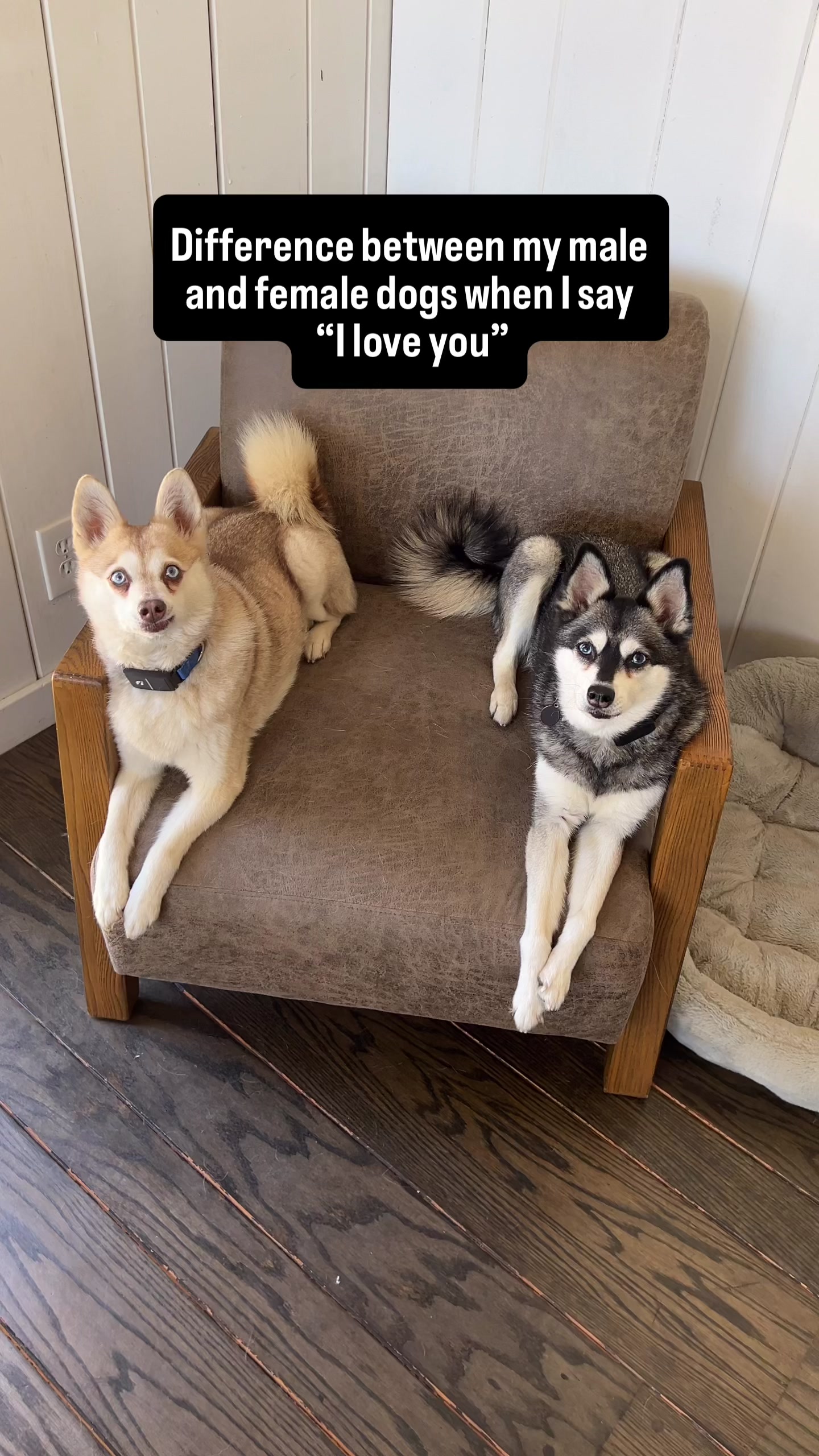 @lifewithkleekai