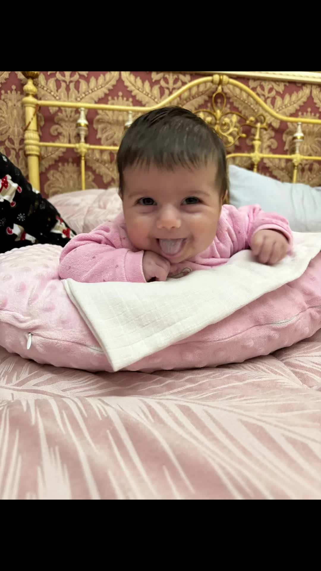 @MANGIAPILI_17