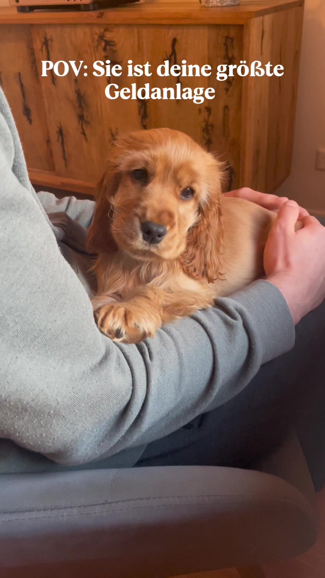 @Darla the Cocker