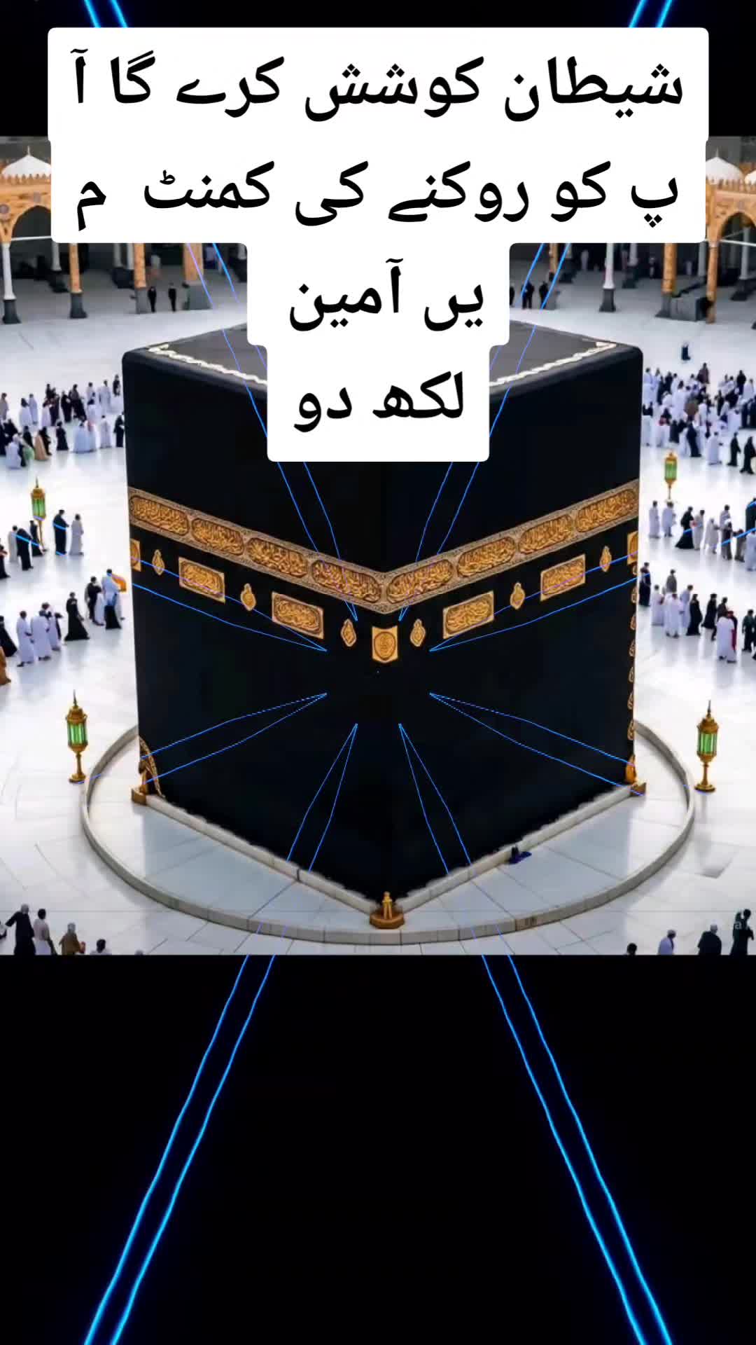 @amaan1949