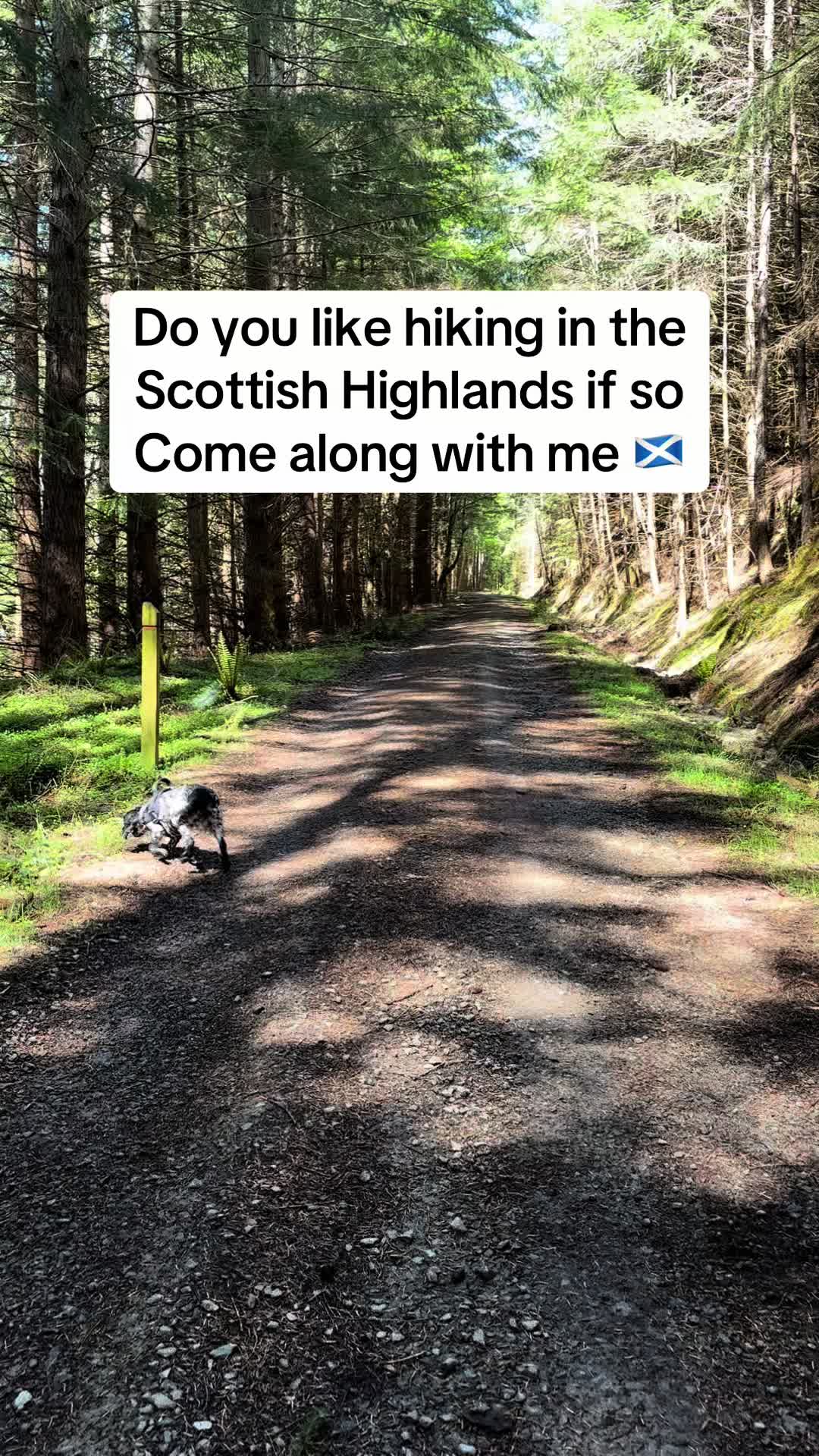 @Highland Girly❌