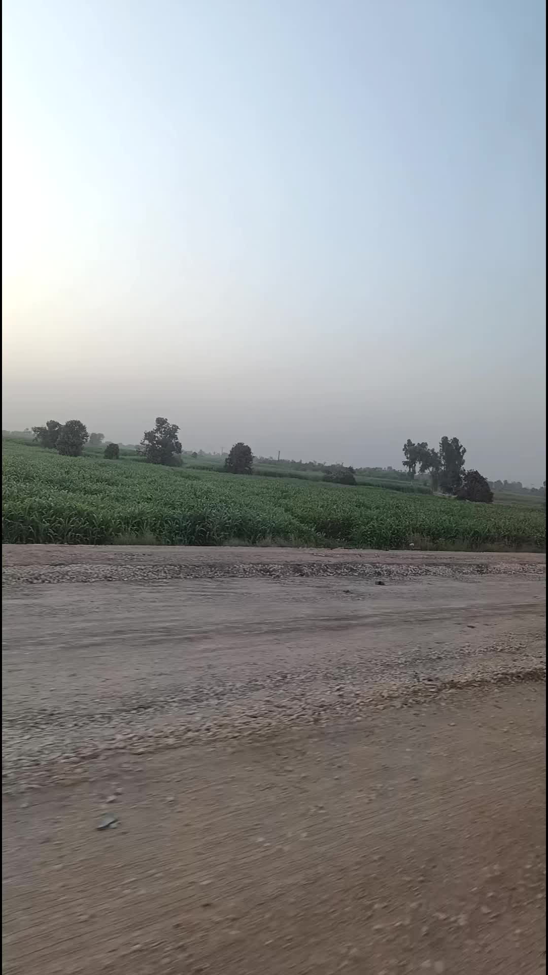 @شایان شاھ 💖