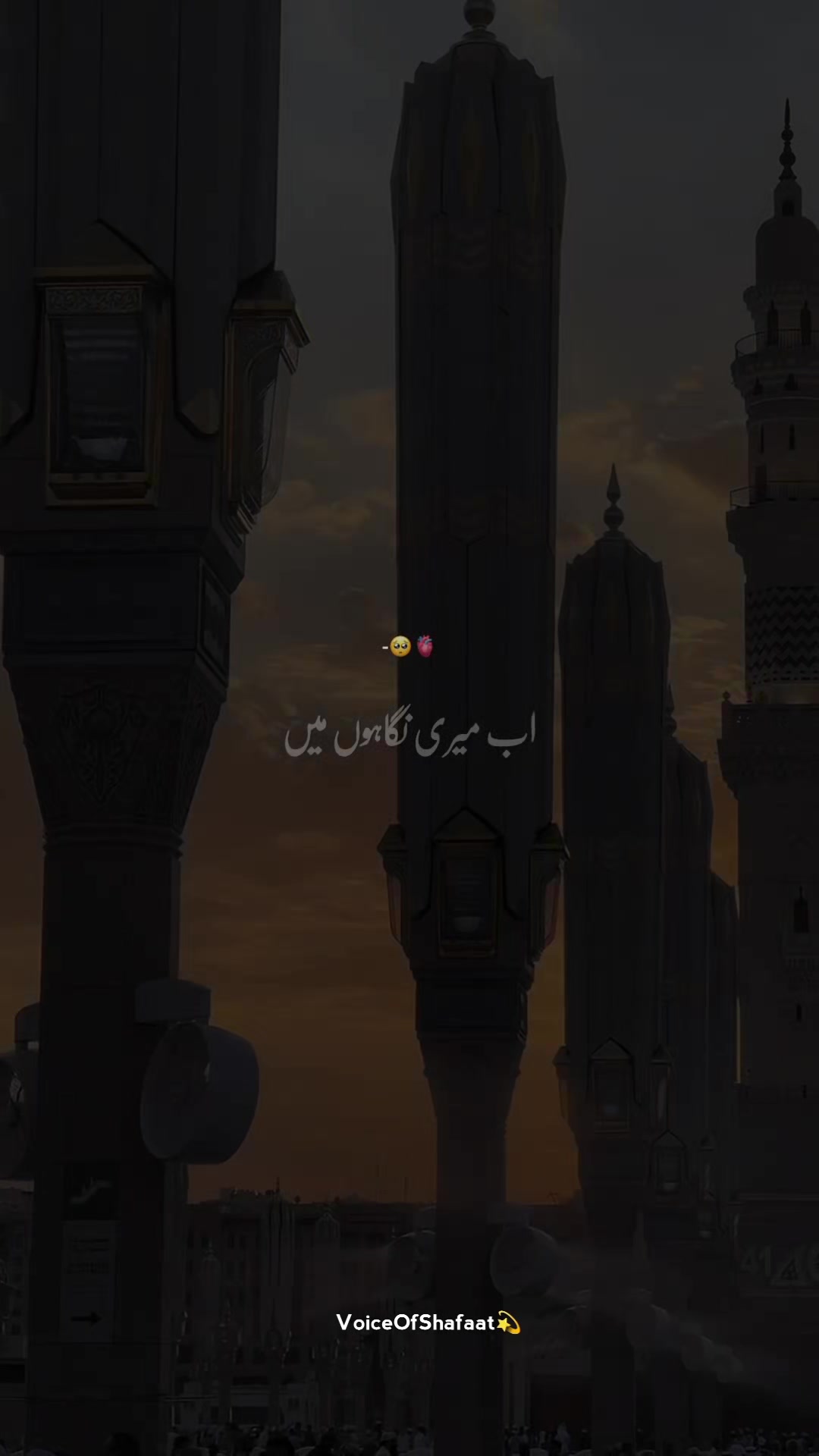 @VoiceOfShafaat💫