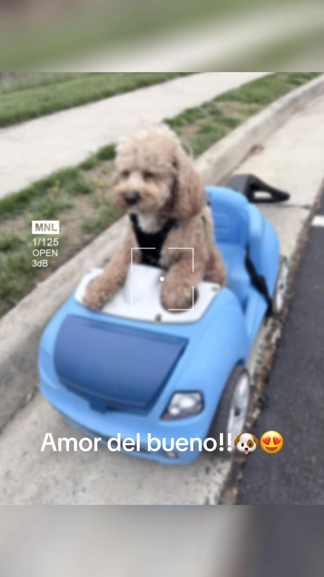 @pattycastillot