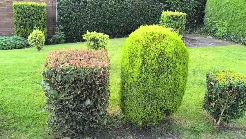 @Animal & Nature Lovers