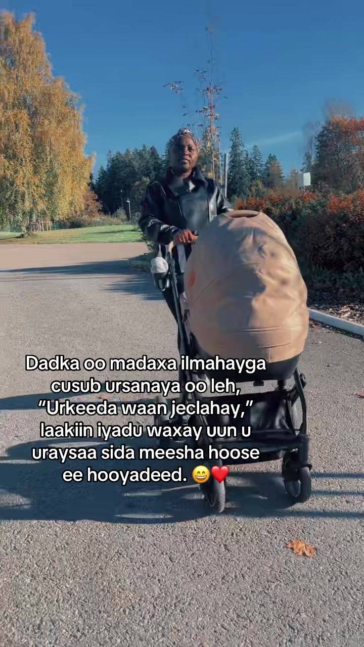 @🥭Chandaelias🦅🥭❤️