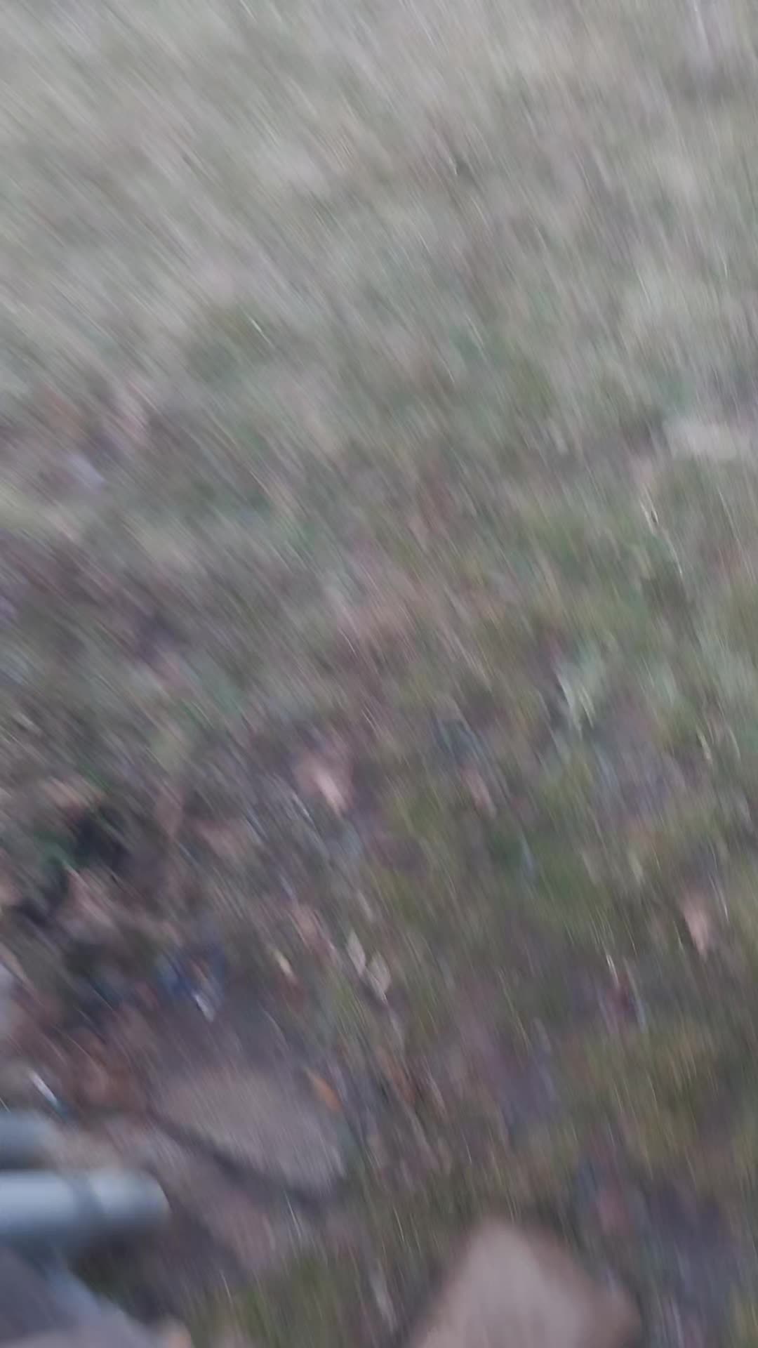 @JG Garcia70725