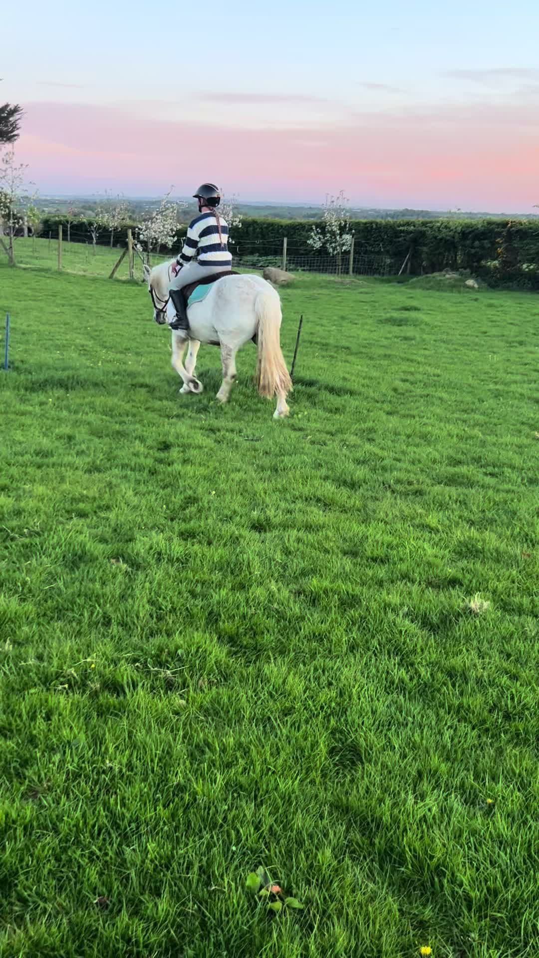 @aoibheann717
