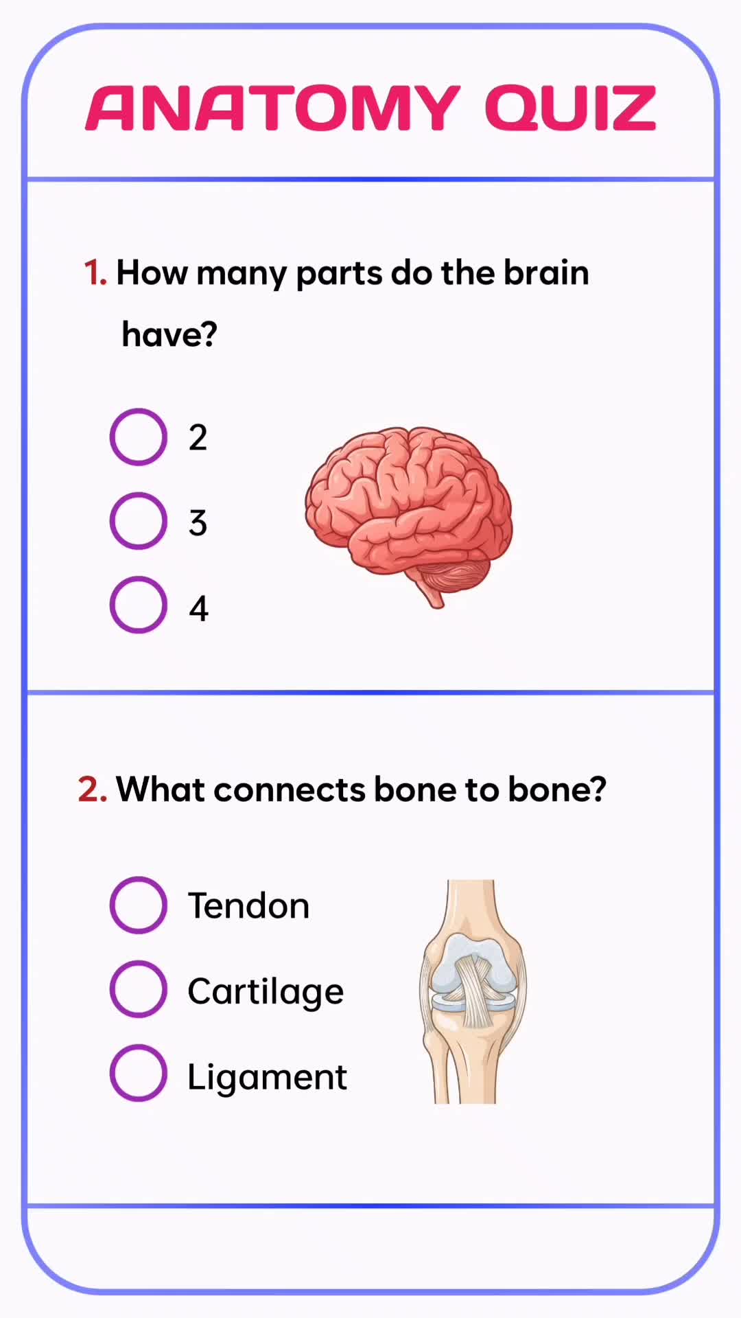 @QUIZ