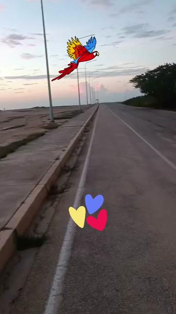 @veneladymarigua