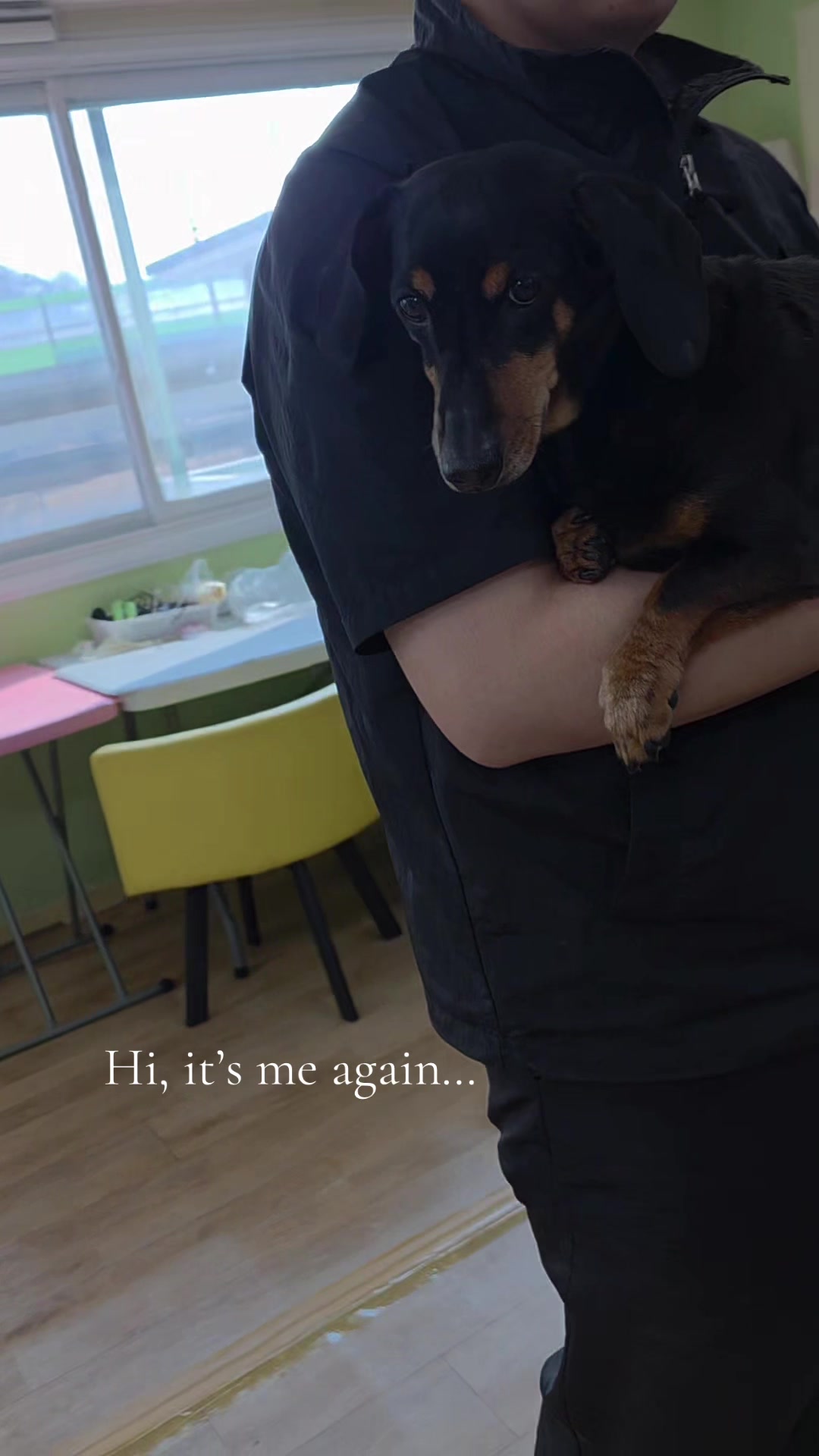@DMT Dachshund Rescue 🐾