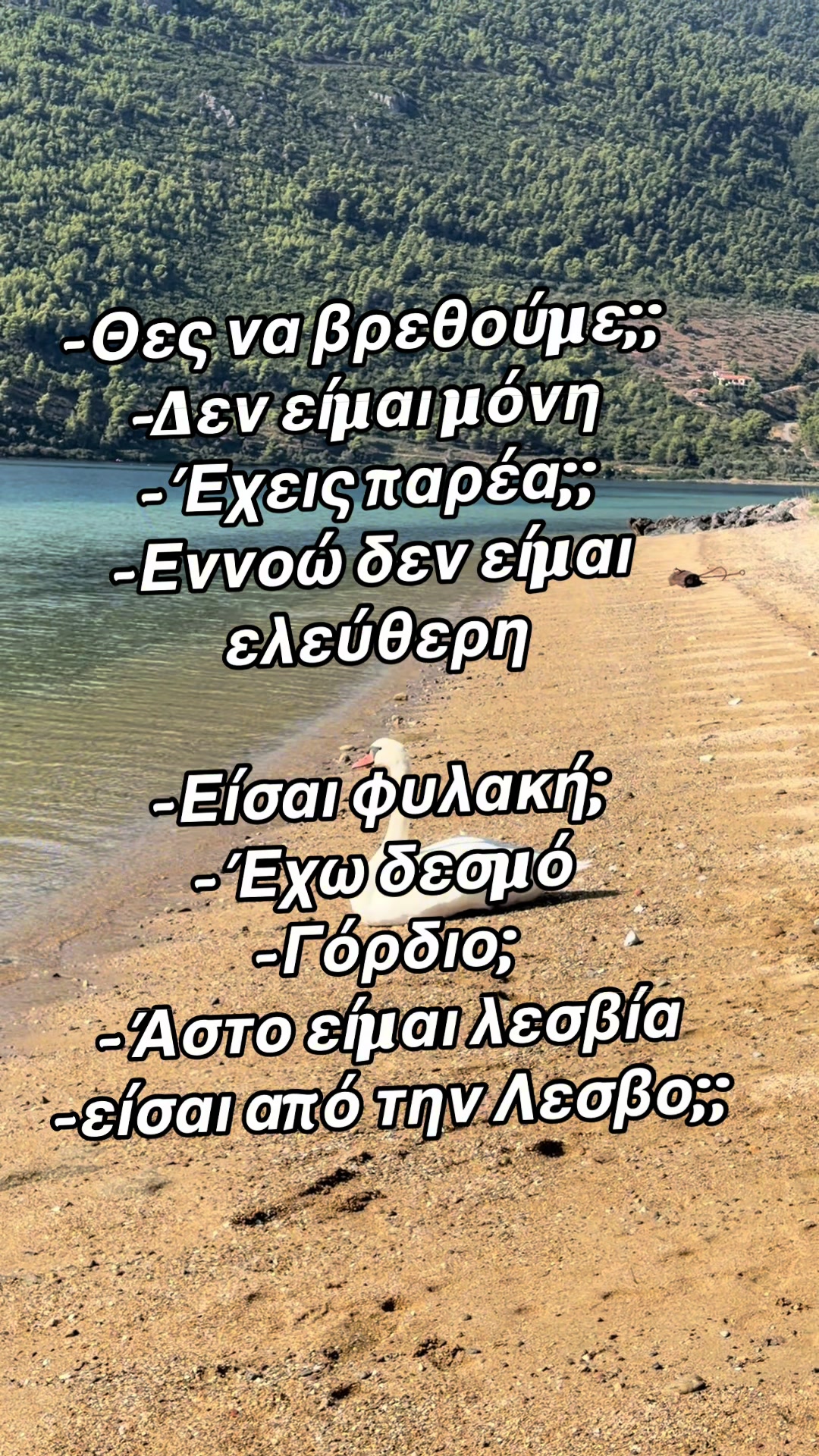 @user4128520018593Tania