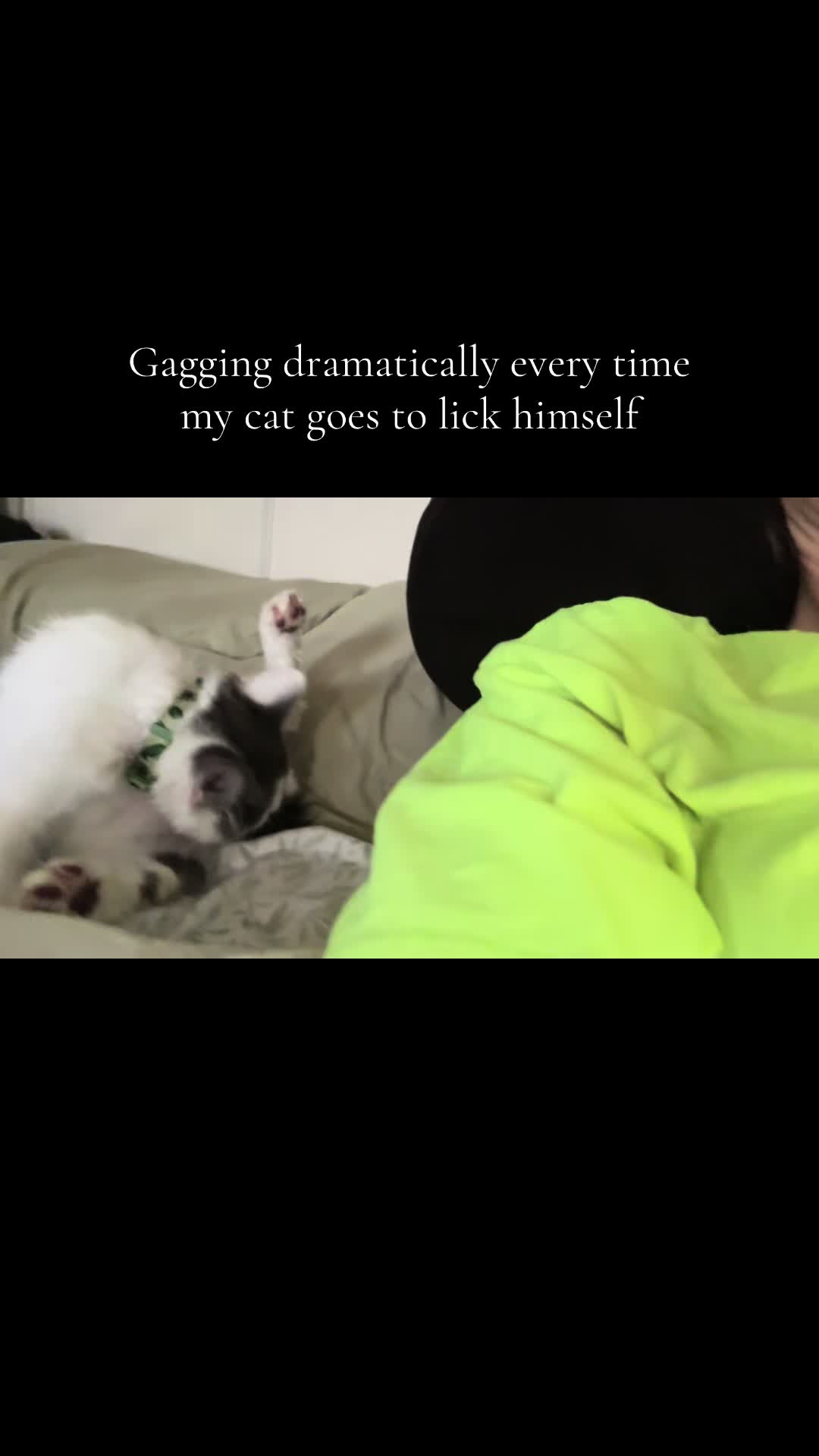 @M E G