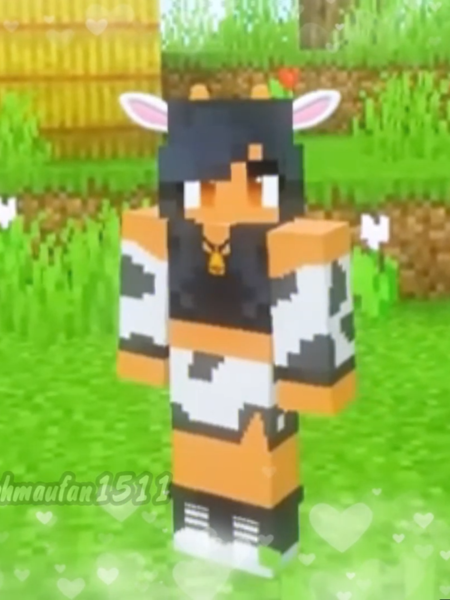 @🖤Zane_Fan😁