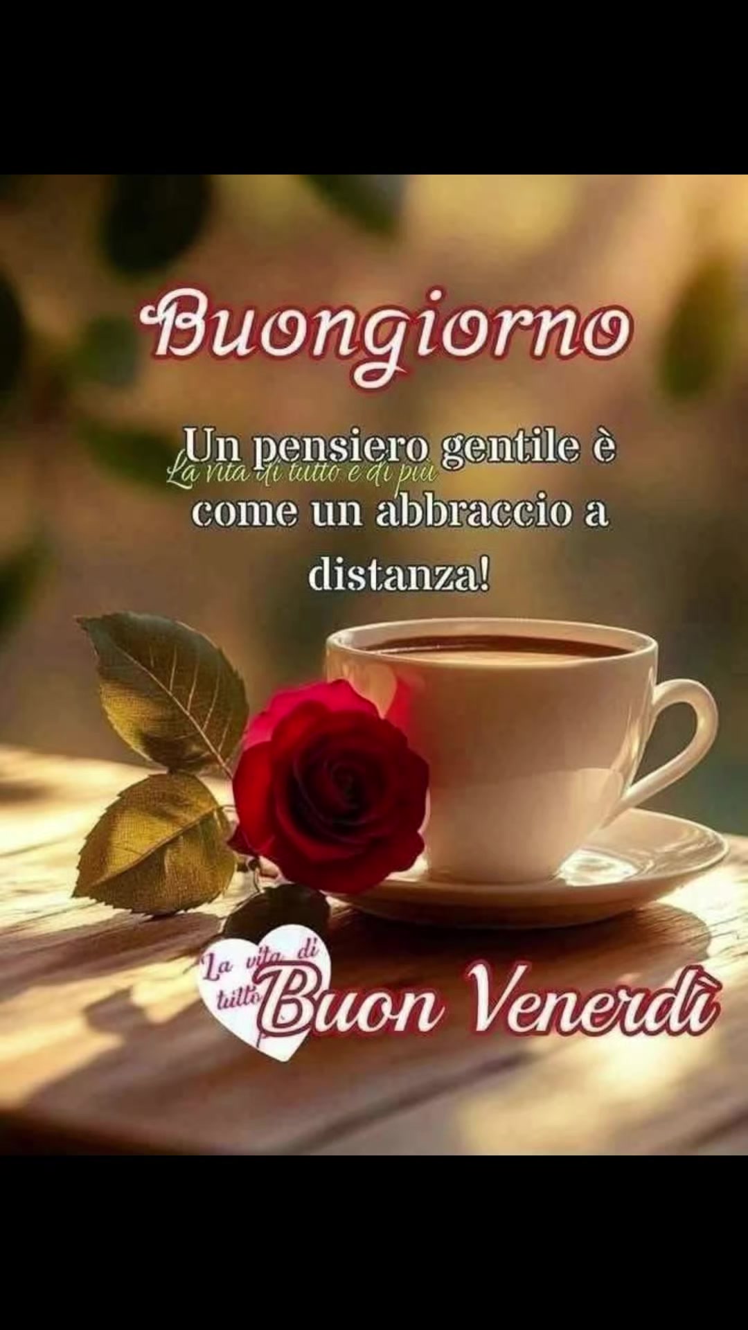 @🌞 Fede