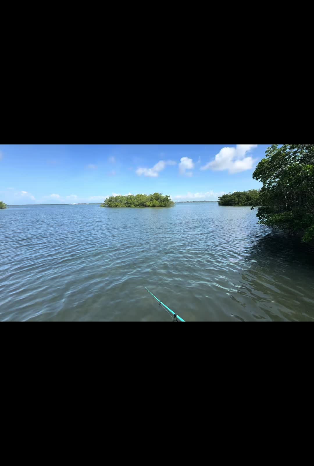 @Gotitfishing