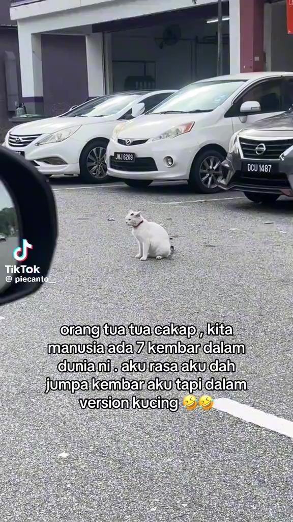 @Tanpa nama.. 9001..