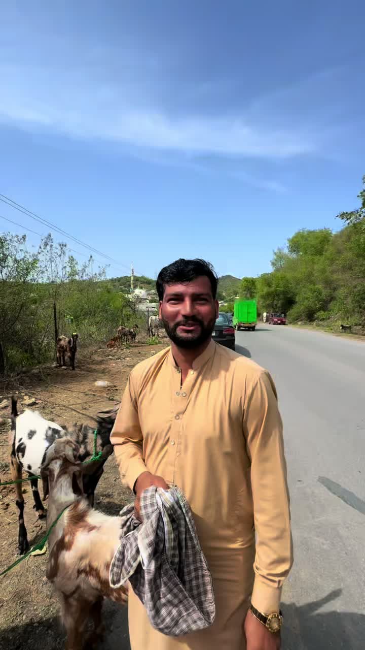 @Hamoon Kashmiri