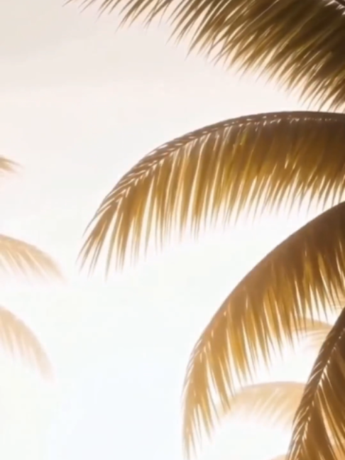 @EVA - Esports Virtual Arenas