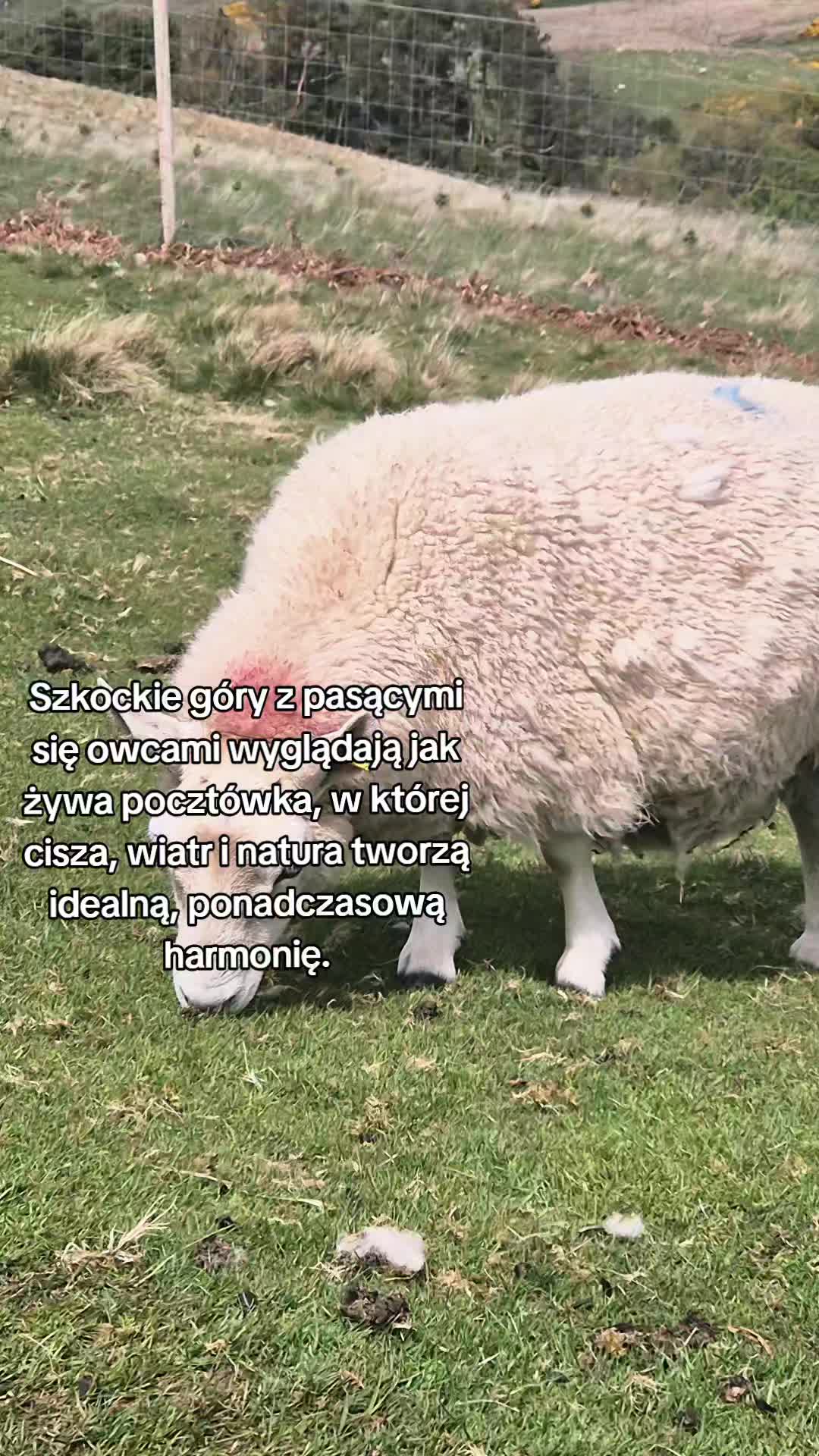 @Alineczka i jej życie