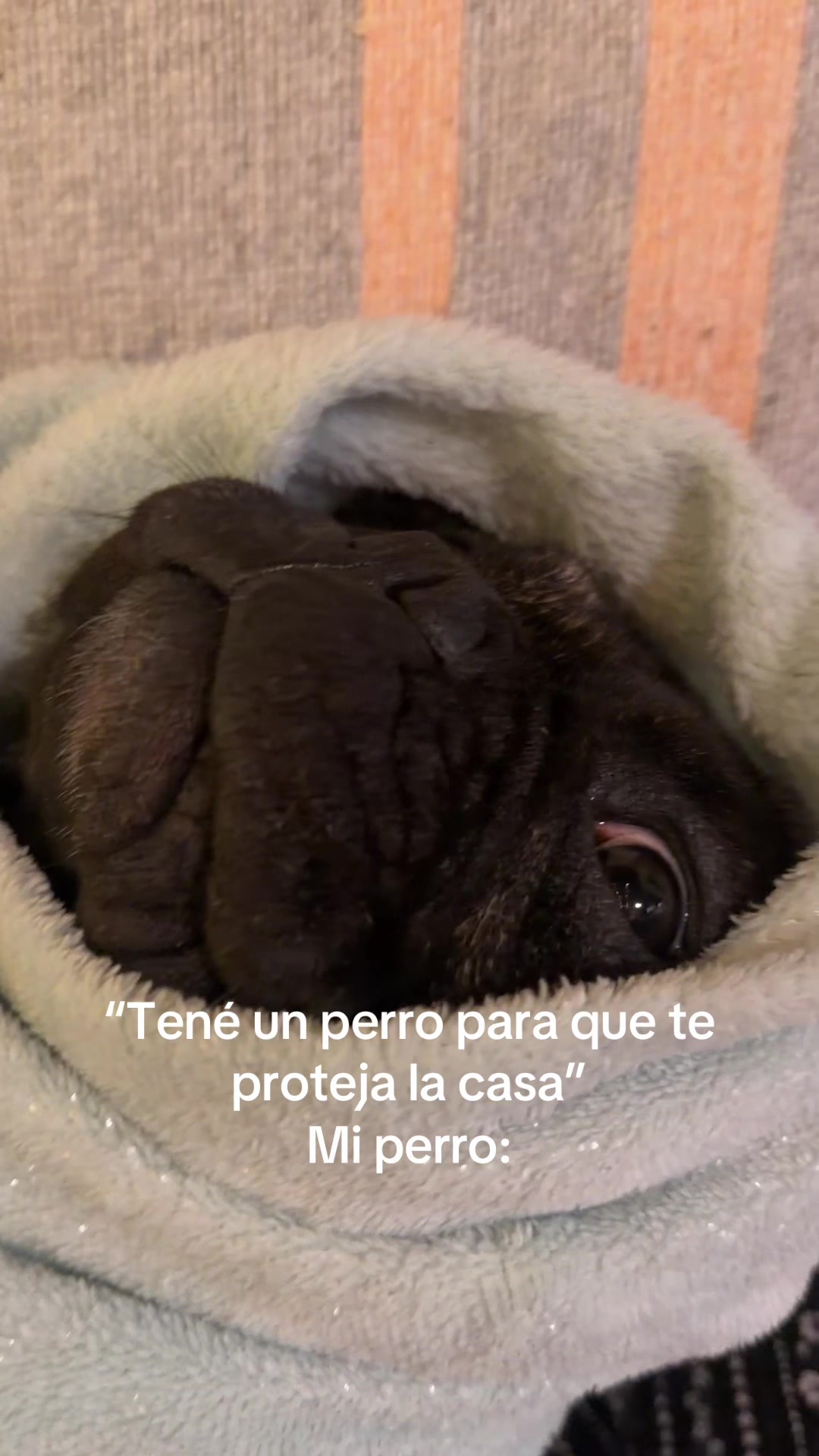 @Wandi Mazzitelli