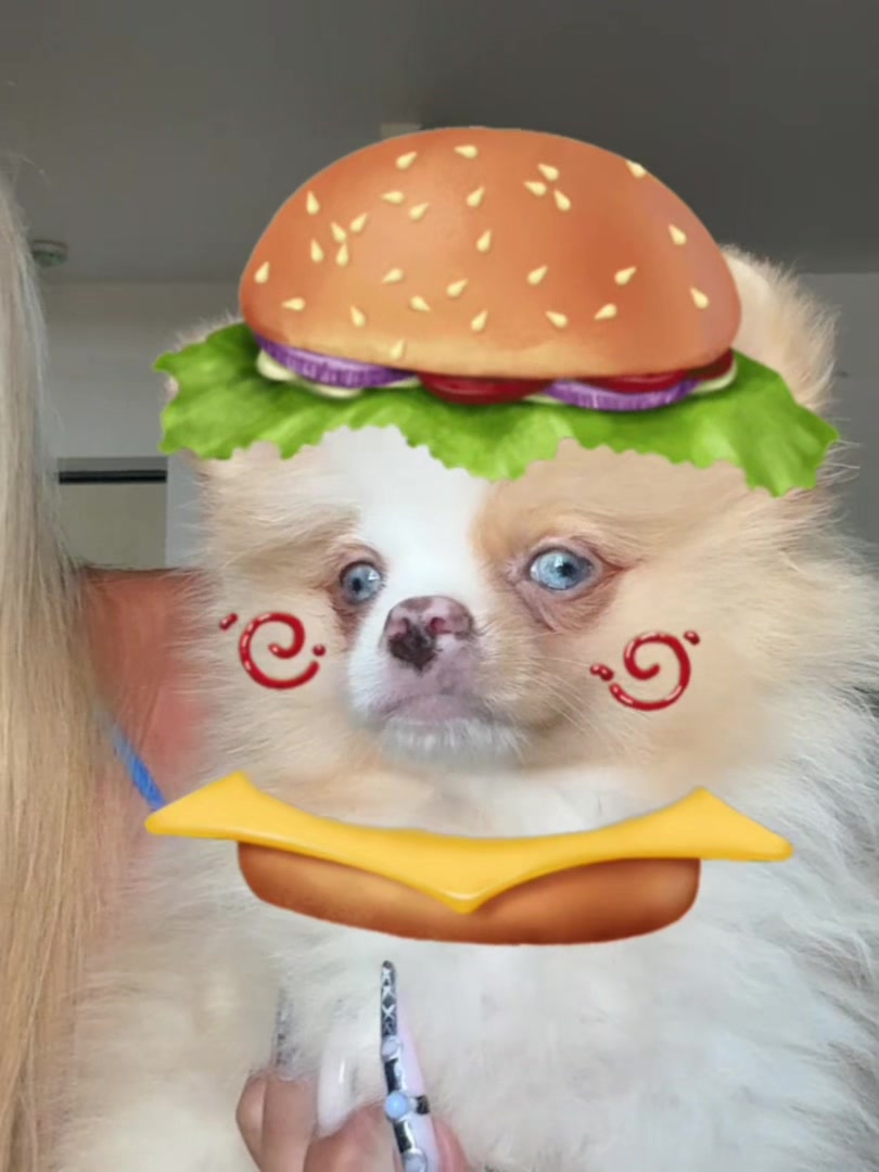 @lili18