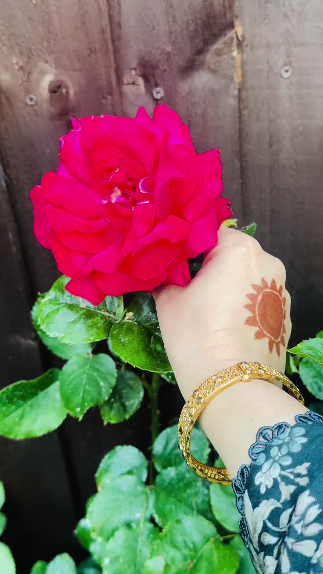 @Hasinakosar