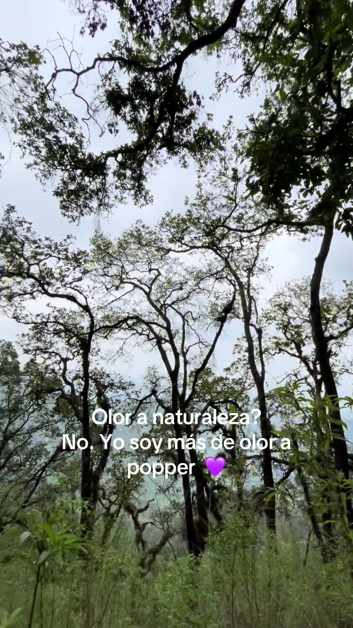 @_nathaliaconh_