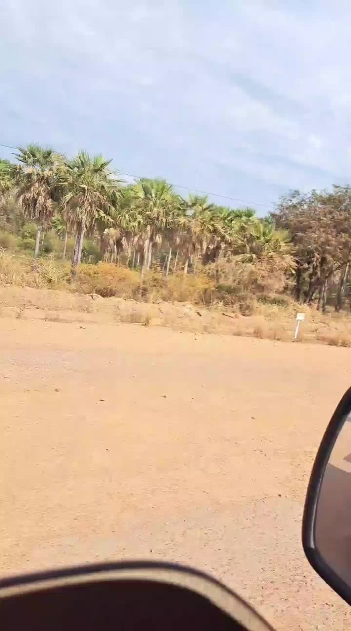 @Fabian Yapari