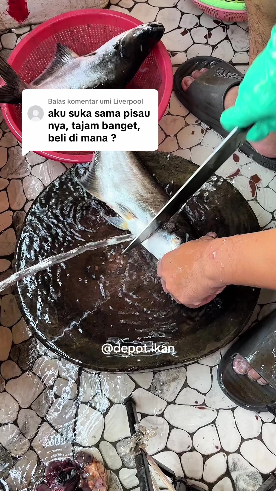 @Depot Ikan