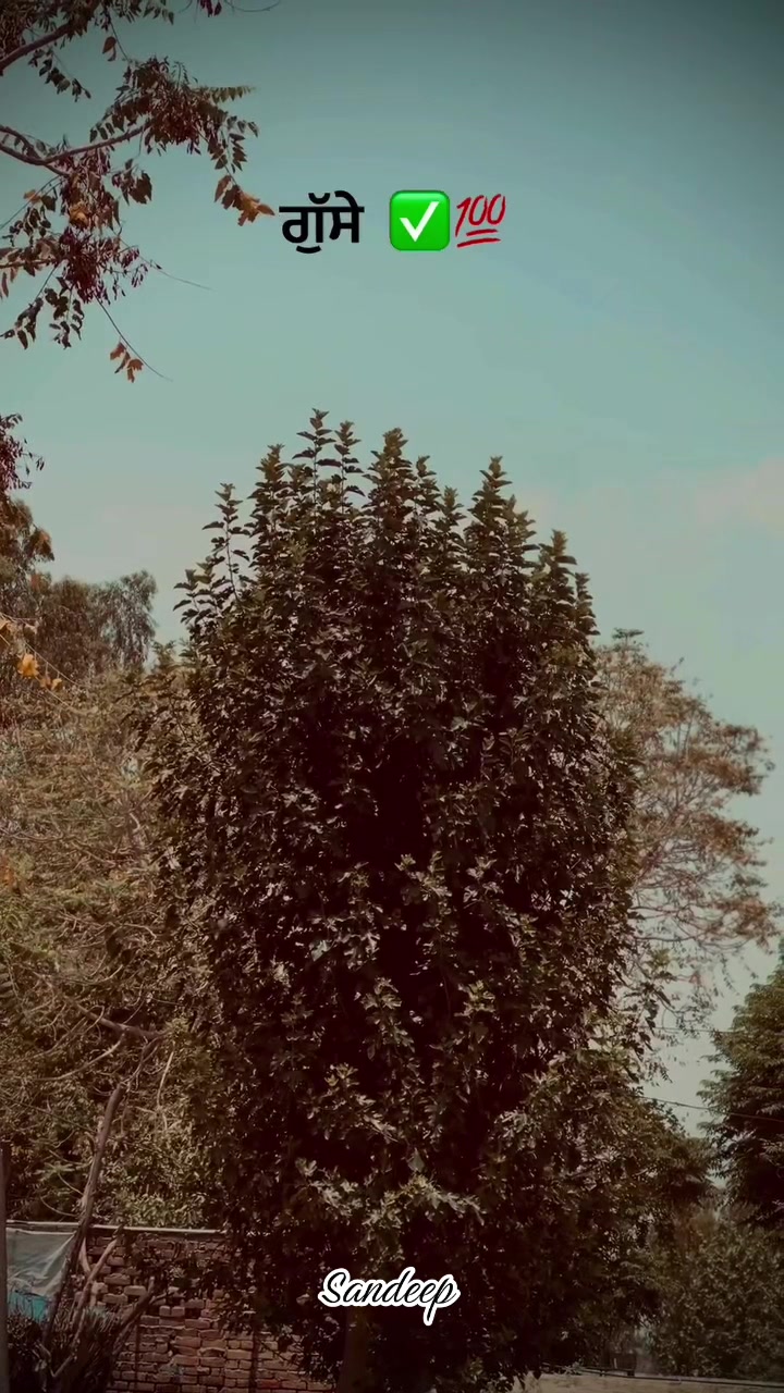 @Sdeep_2022
