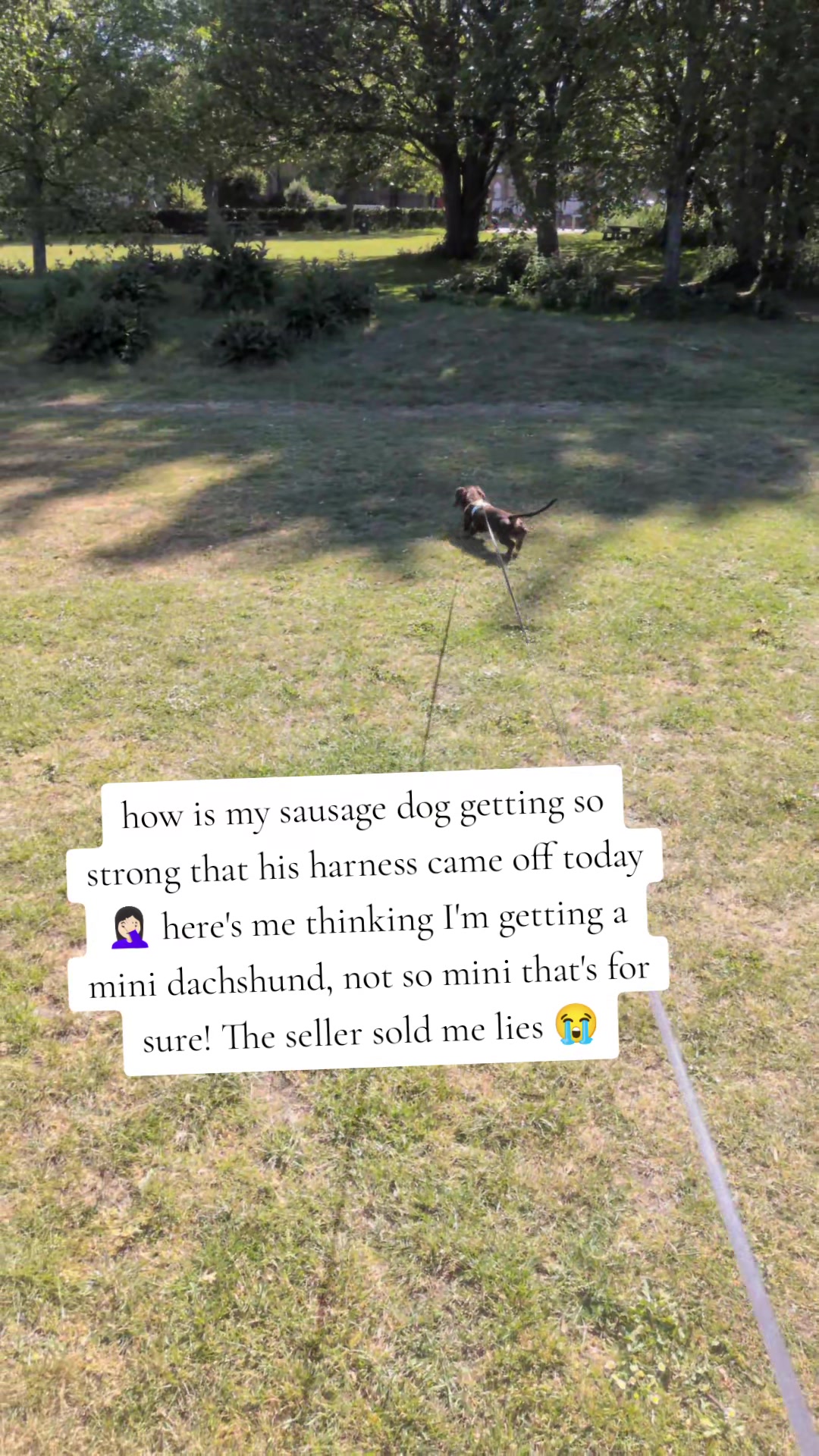 @ᴋʀᴜᴍᴘᴇᴛ🐢