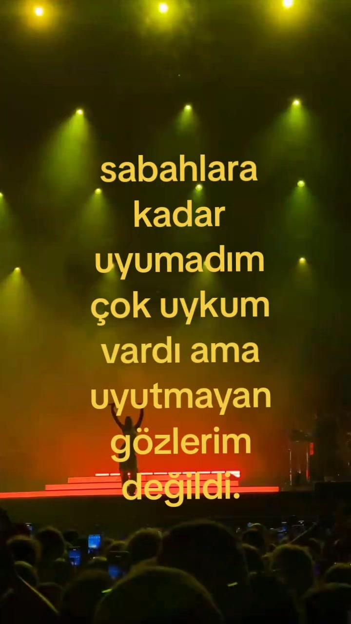 @elzem.