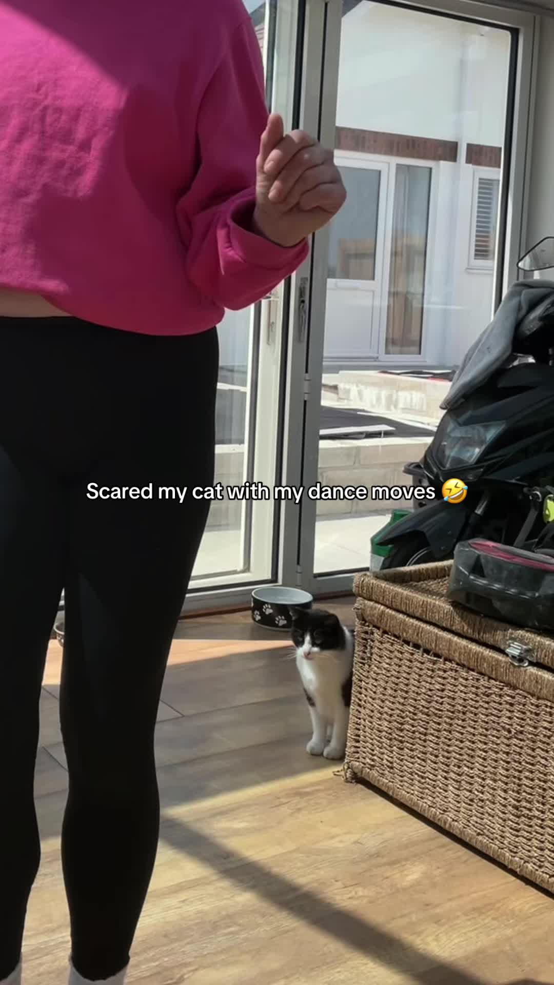 @Tamzin Slater 🦓