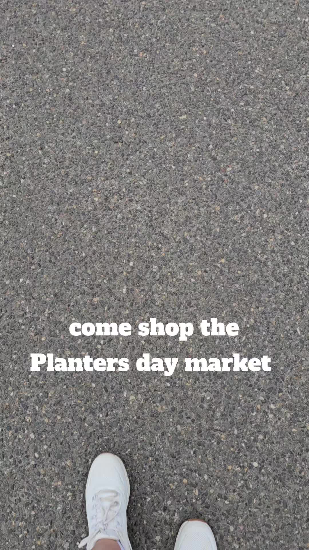 @Willow Hill and Co.