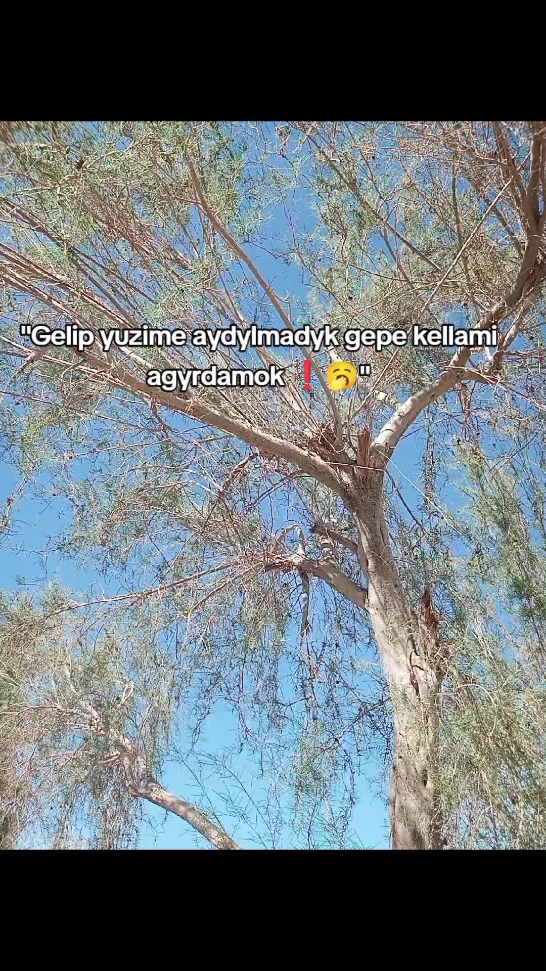 @Yazzyş_🥷