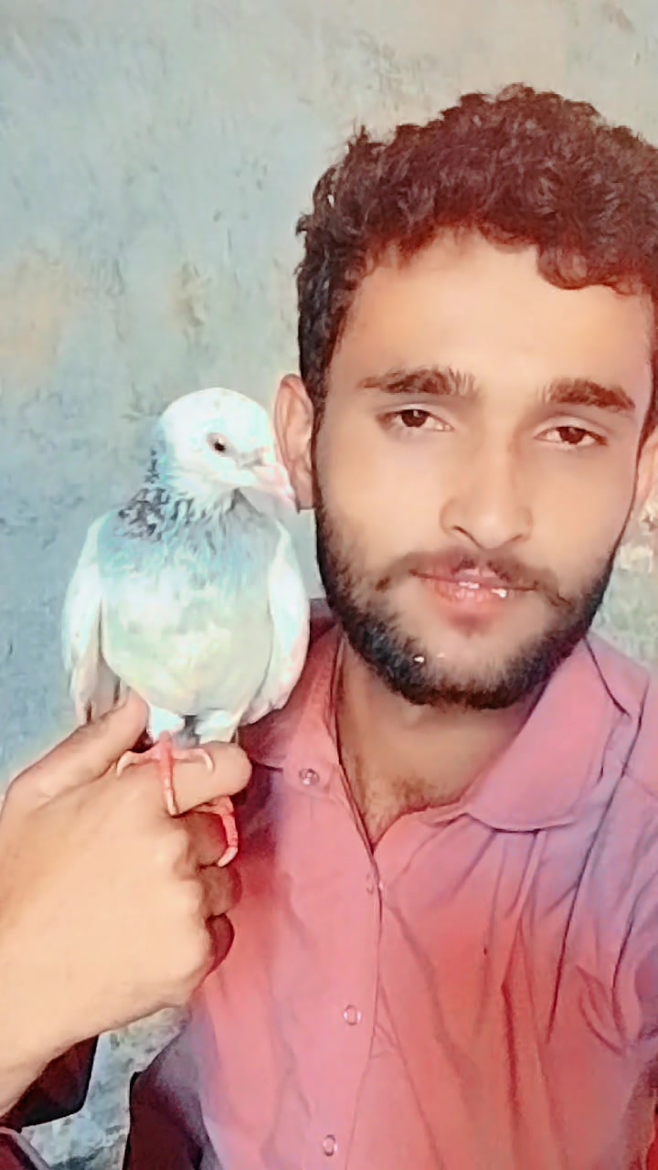 @@mubeen302