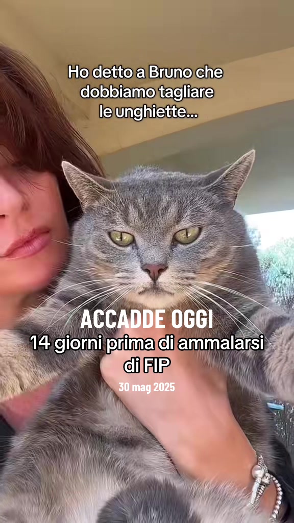@MarziaBrunoEdgar&Virgi